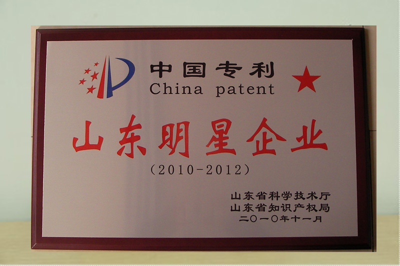 中国专利山东明星企业